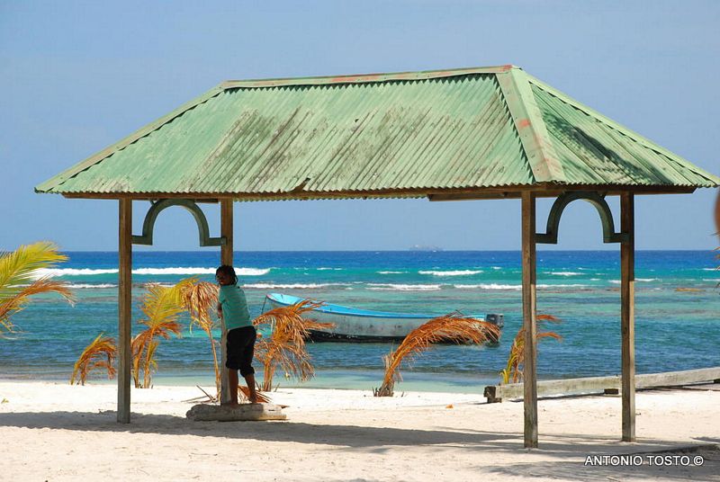 Lancha Saona Special